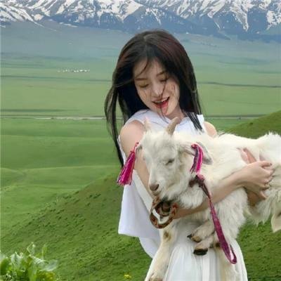 律政英雄新电影版 海报
